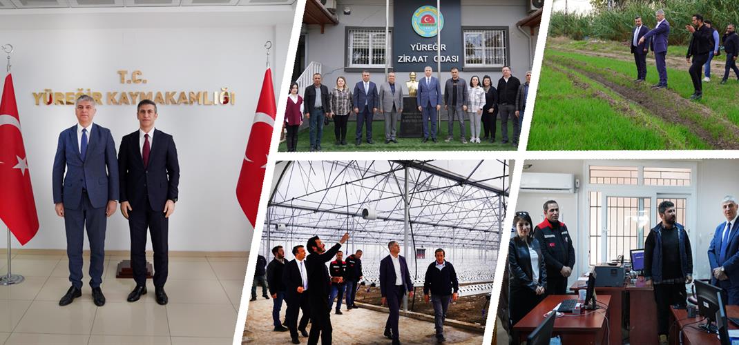İl Müdürü Bayazıt, Yüreğir’de Tarımsal Üretim Alanlarında İncelemelerde Bulundu