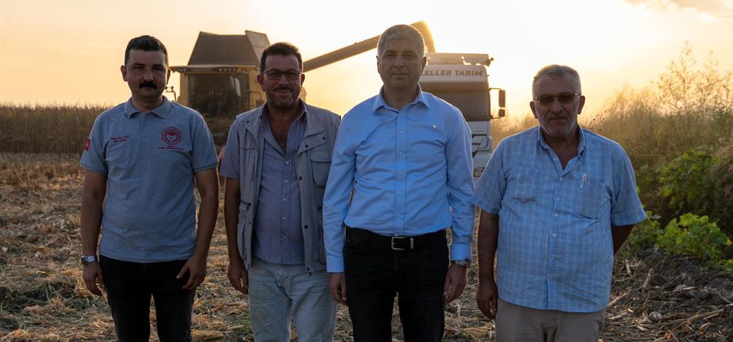 Adana'da Mısır Hasadı Hızla Sürüyor