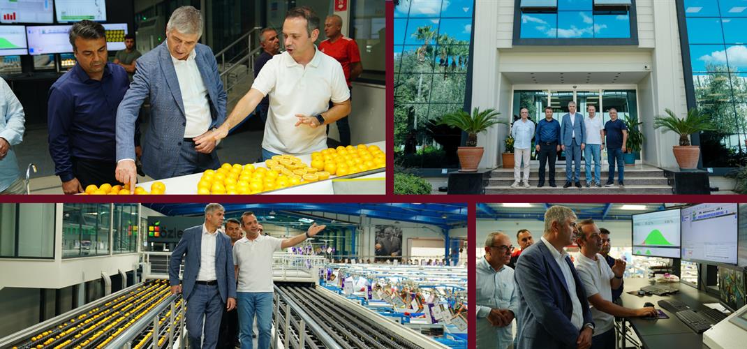 İl Müdürü Bayazıt Narenciye Paketleme Tesisinde İncelemelerde Bulundu