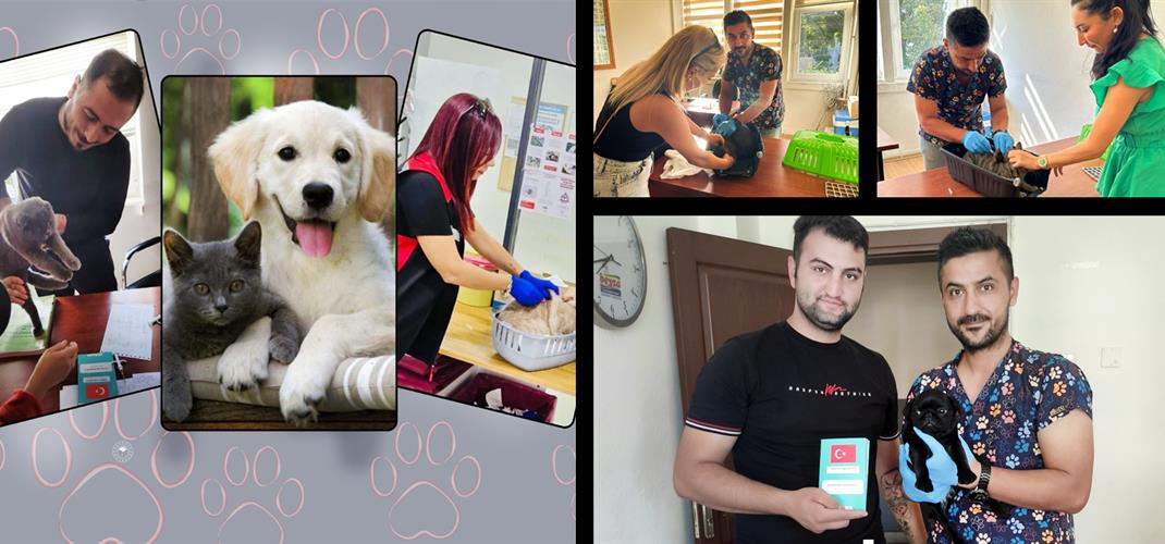 Patili Dostlarımızı Kimliklendirelim